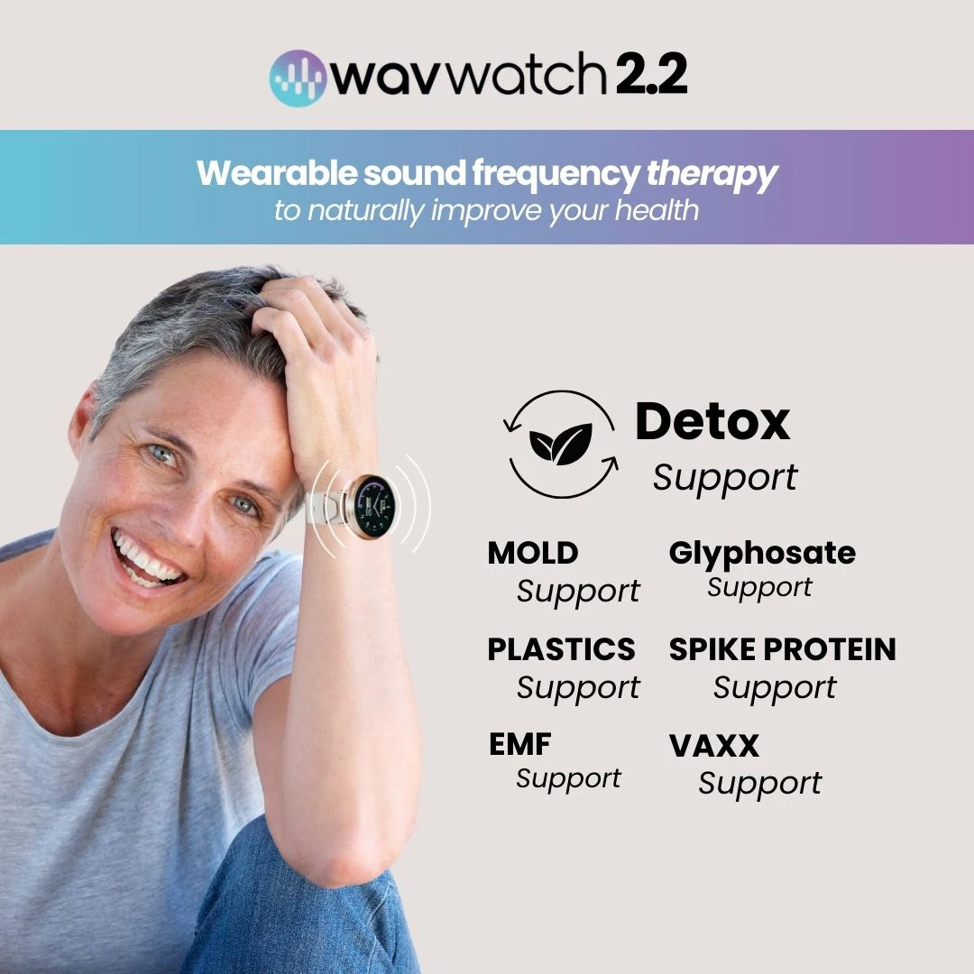 WAVwatch 2.2 - Image 3