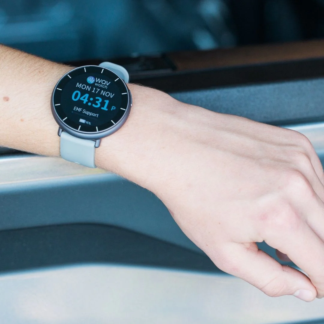 WAVwatch 2.2 - Image 6
